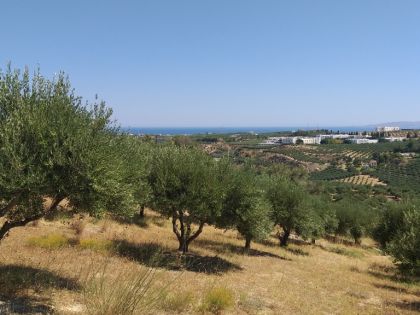 αγγελία