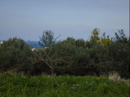 ΓΑΖΙ