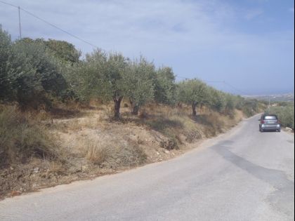 ΑΡΧΑΝΕΣ ΚΑΤΩ 