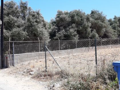 ΚΟΚΚΙΝΗ ΧΑΝΙ