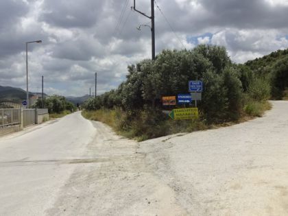 ΦΟΙΝΙΚΙΑ 