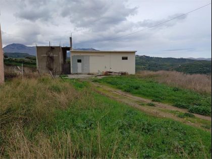 ΔΑΦΝΕΣ