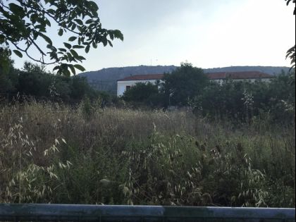 ΚΕΡΑΣΙΑ