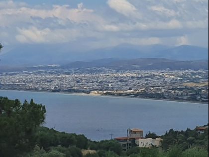 ΡΟΔΙΑ
