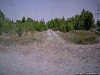 αγγελία