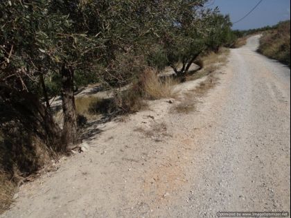 αγγελία