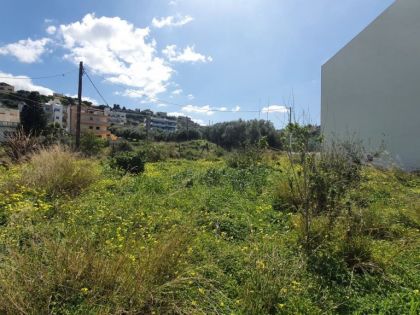 αγγελία
