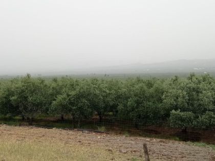 αγγελία