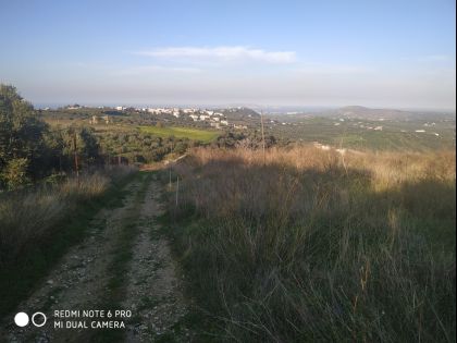 ΒΑΣΙΛΕΙΕΣ
