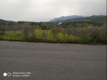 ΜΑΛΑΔΕΣ