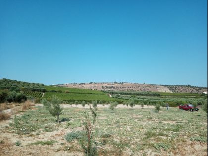 ΑΓΙΑ ΕΙΡΗΝΗ