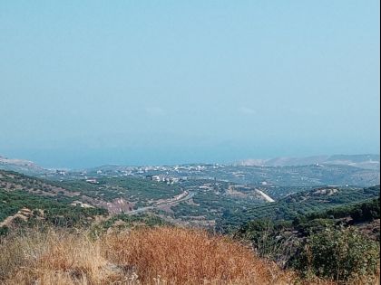 ΑΡΧΑΝΕΣ ΑΝΩ 