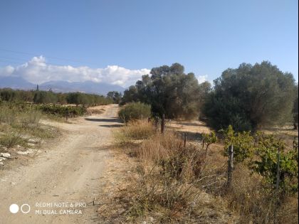 ΜΟΙΡΕΣ