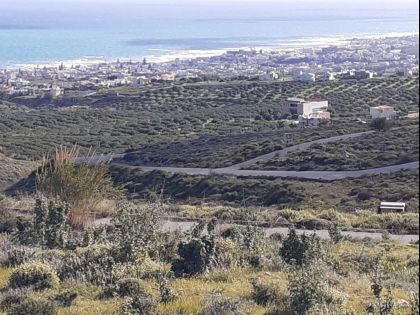 ΚΟΚΚΙΝΗ ΧΑΝΙ