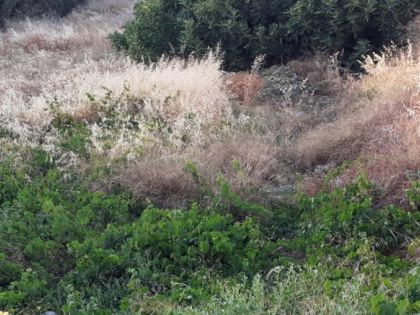 ΑΓΙΑ ΑΙΚΑΤΕΡΙΝΗ