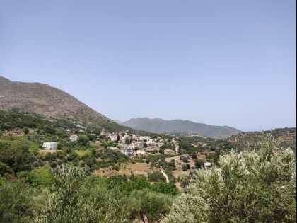 ΜΑΡΑΘΟΣ