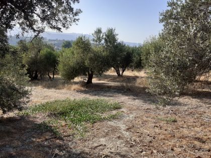 ΓΟΥΡΝΕΣ