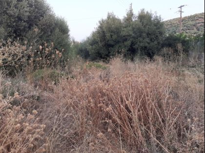 ΠΑΛΑΙΟΚΑΣΤΡΟ