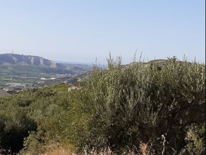 ΑΓΙΟΣ ΣΥΛΛΑΣ