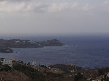 ΛΥΓΑΡΙΑ