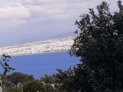 ΠΑΝΤΑΝΑΣΣΑ