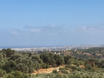 ΜΟΝΗ