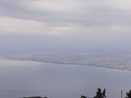 ΡΟΔΙΑ