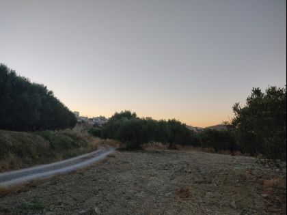 ΕΛΙΑ