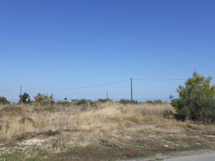 ΜΑΡΑΘΙΤΗΣ