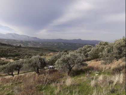 ΑΓΙΟΣ ΒΛΑΣΙΟΣ