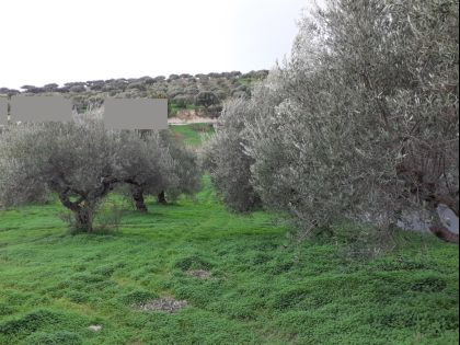 ΑΓΙΟΣ ΒΛΑΣΙΟΣ