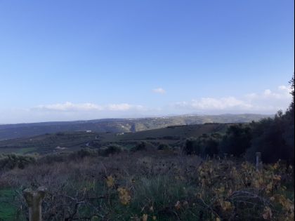 ΣΚΑΛΑΝΙ