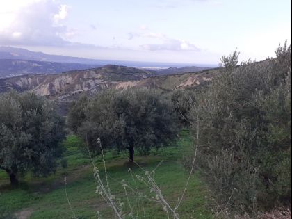 ΑΓΙΟΣ ΒΛΑΣΙΟΣ