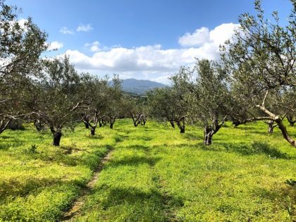 ΑΓΙΟΣ ΙΩΑΝΝΗΣ