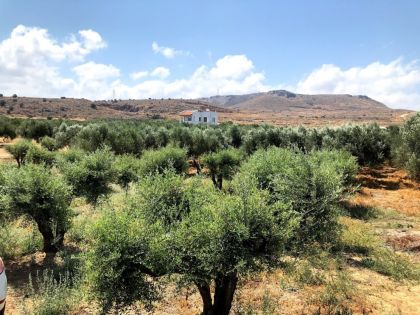 ΓΟΥΡΝΕΣ