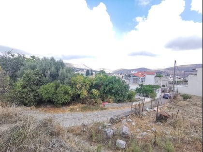 ΜΟΧΟΣ