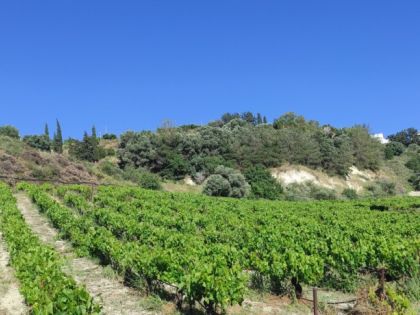 ΠΩΛΕΙΤΑΙ ΑΓΡΟΤΕΜΑΧΙΟ ΑΘΑΝΑΤΟΙ ΗΡΑΚΛΕΙΟ ΚΡΗΤΗ
