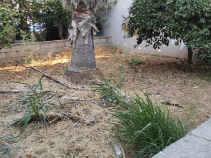 ΠΛΑΤΕΙΑ ΣΙΝΑΝΗ ΟΙΚΟΠΕΔΟ