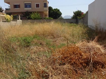 ΠΛΑΤΕΙΑ ΣΙΝΑΝΗ ΟΙΚΟΠΕΔΟ