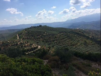 ΜΑΛΕΜΕ ΑΓΡΟΤΕΜΑΧΙΟ