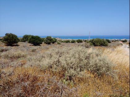 ΓΟΥΒΕΣ ΑΝΩ 