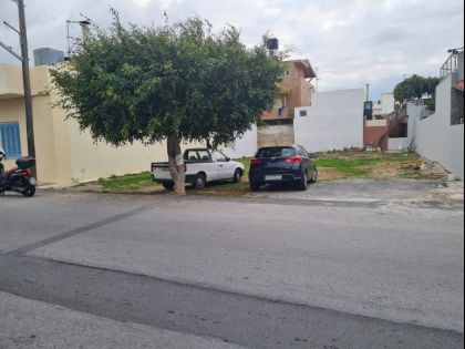 ΑΛΙΚΑΡΝΑΣΣΟΣ