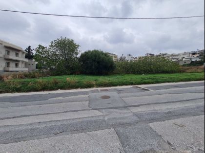 ΜΕΣΑΜΠΕΛΙΕΣ