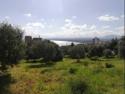 αγγελία