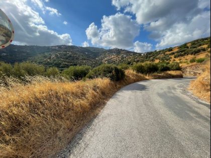 αγγελία