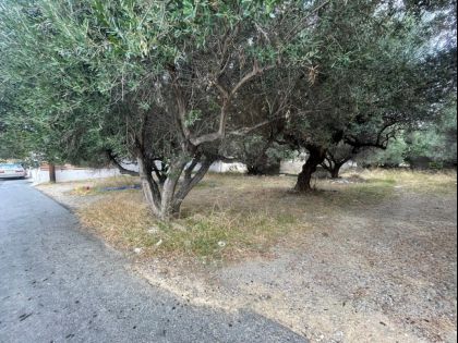 αγγελία