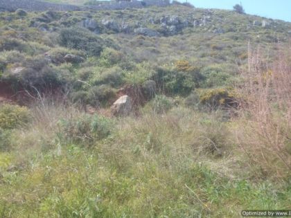 ΚΟΚΚΙΝΗ ΧΑΝΙ