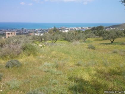 ΚΟΚΚΙΝΗ ΧΑΝΙ