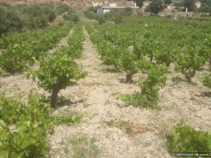 ΕΠΙΣΚΟΠΗ