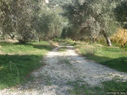 ΤΣΑΓΚΑΡΑΚΗ ΜΕΤΟΧΙ